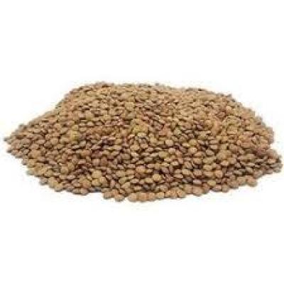 عدس ریز خارجی فله